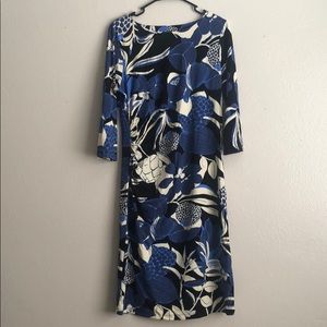 J.McLaughlin Beautiful Large Adult Dress